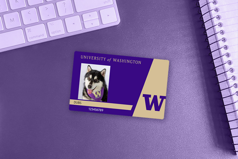 Husky Card