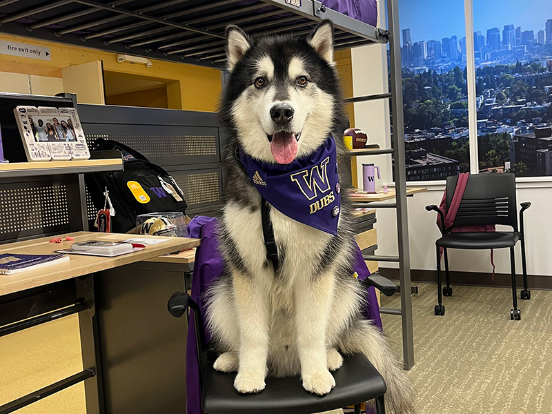 Dubs sits at his desk in a decorated HFS room.